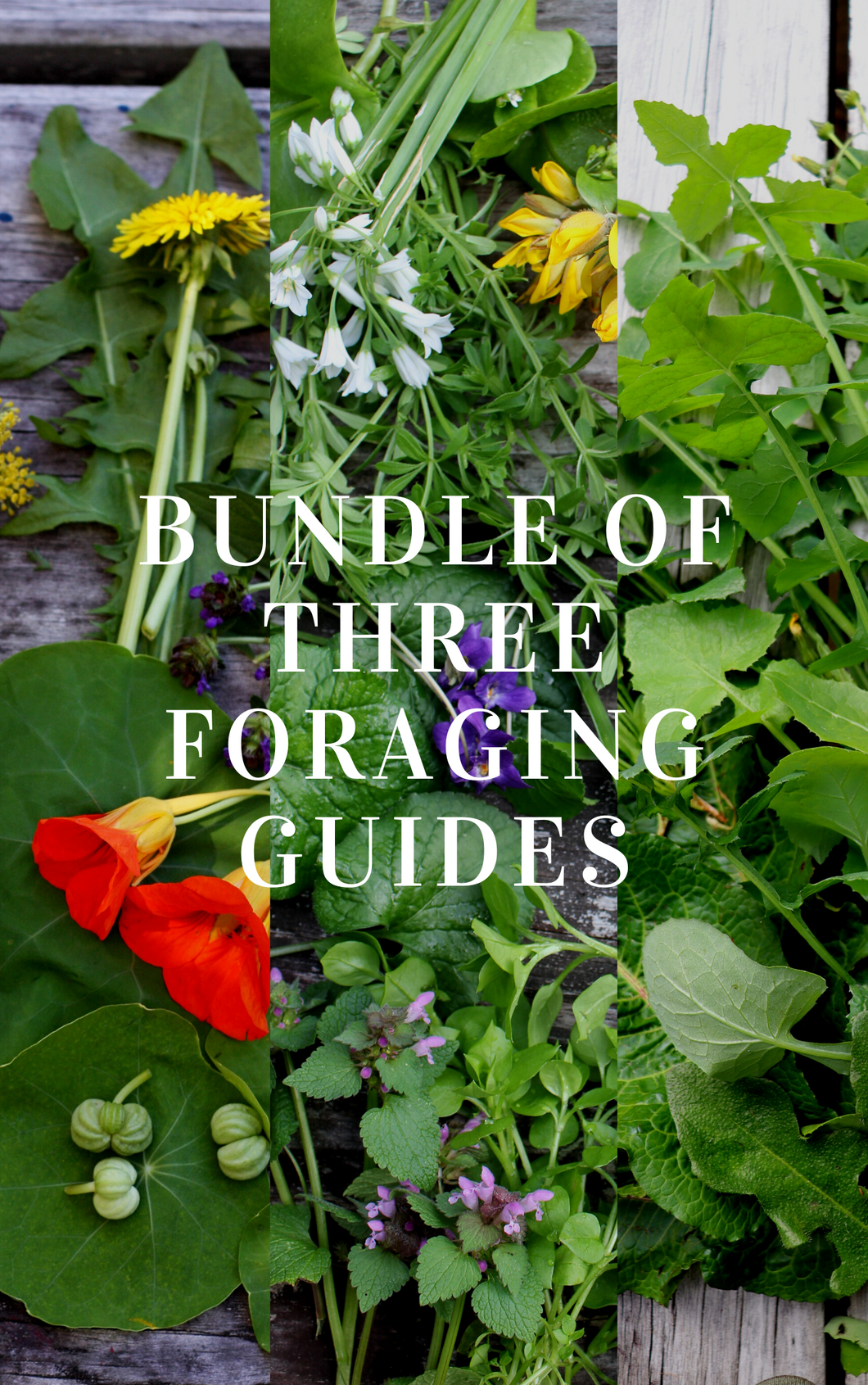BUNDLE of 3 x Foraging Guides ~ Edible Weeds focus
