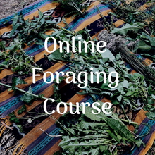 Load image into Gallery viewer, Foraging for Wild Edible Plants ~ Online Video Foraging Course
