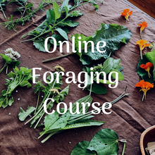 Load image into Gallery viewer, Online Foraging Course ~ Video Content
