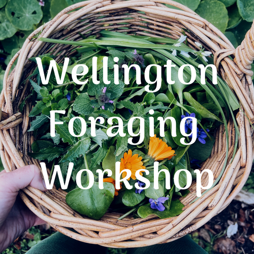 Wellington Foraging Workshop Cover
