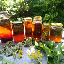 Load image into Gallery viewer, Bespoke Foraging Session - Private Group - Homegrown Botanica

