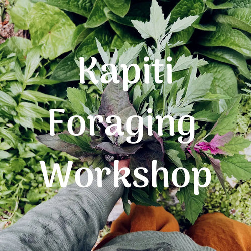 Kapiti Foraging Workshop Cover