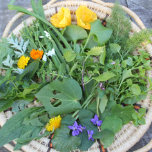 Load image into Gallery viewer, Bespoke Foraging Session - Private Group - Homegrown Botanica
