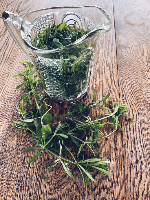 Cleavers Infusion