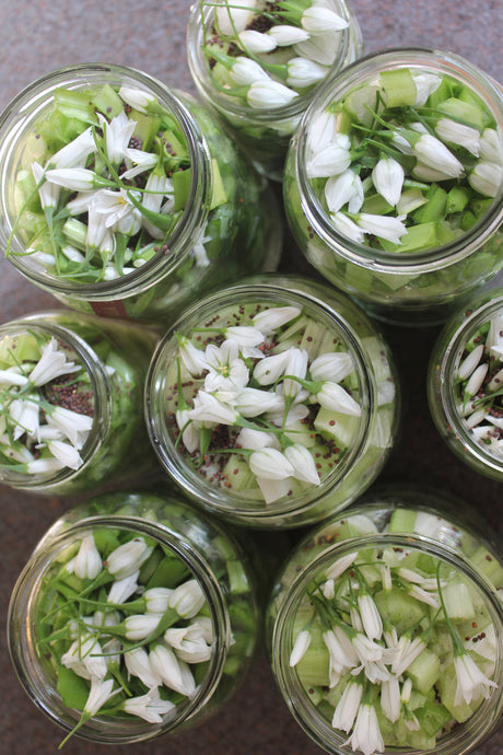 Pickled Onionweed Recipe