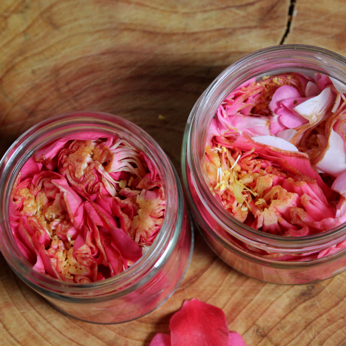 Pickled Camellia Flowers