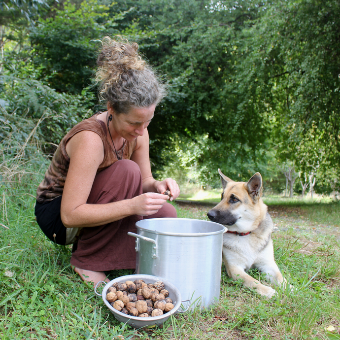 Natural Dyeing with Walnut husks