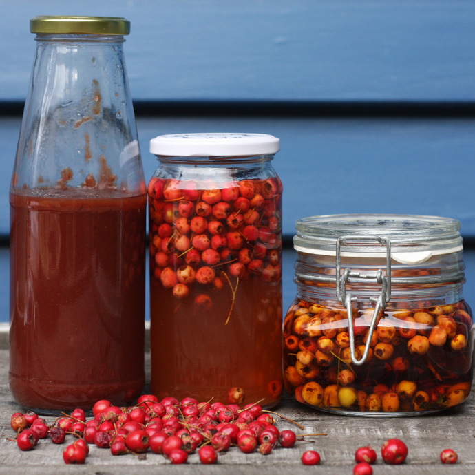 Hawthorn Berry Ketchup Recipe