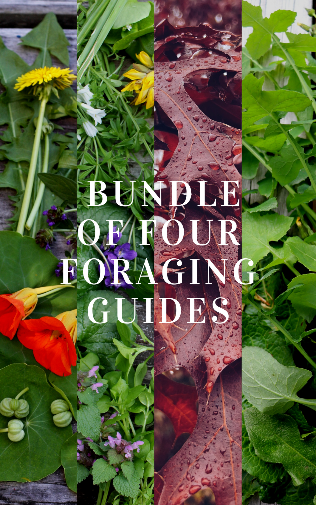 BUNDLE of 4 x Foraging Guides ~ Edible Weeds + Trees