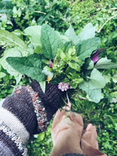 Load image into Gallery viewer, Wairarapa Foraging Workshop - Homegrown Botanica
