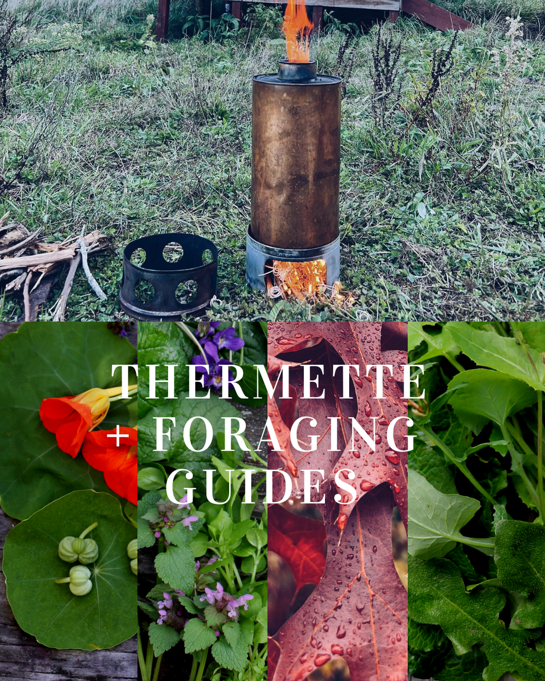 Combo = Copper Thermette + Foraging Guides Bundle of 4 books