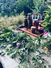 Load image into Gallery viewer, Kapiti Urban Foraging Workshops - Homegrown Botanica
