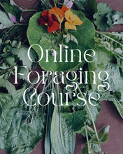 Load image into Gallery viewer, Foraging for Wild Edible Plants ~ Online Video Foraging Course
