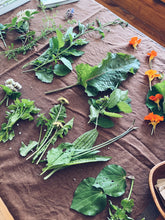 Load image into Gallery viewer, Wellington Foraging Workshops - Homegrown Botanica
