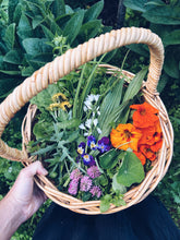 Load image into Gallery viewer, Wellington Foraging Workshops - Homegrown Botanica
