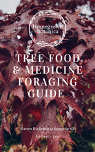 Load image into Gallery viewer, Tree Food and Medicine Foraging Guide cover showing Oak leaves
