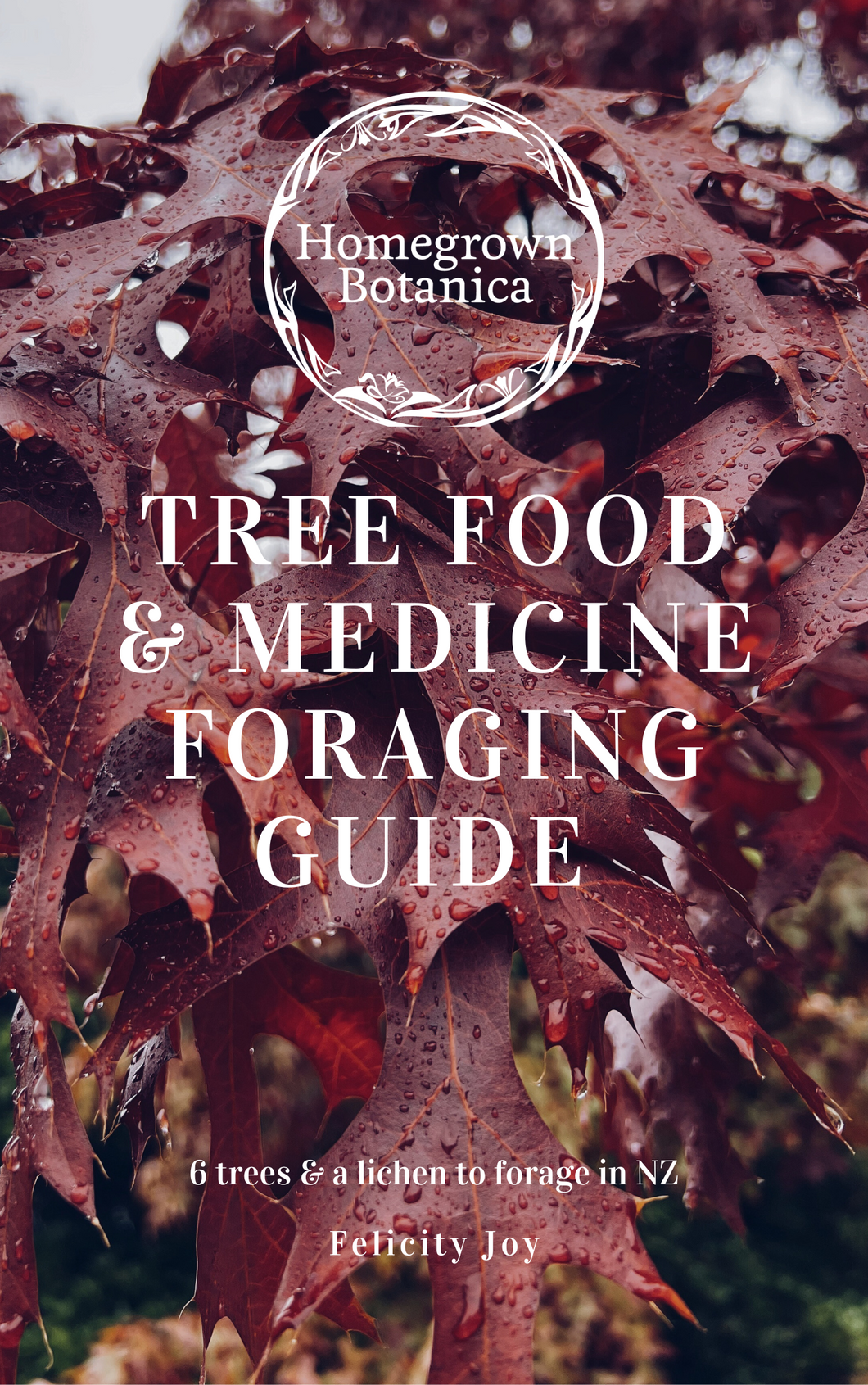 Tree Food and Medicine Foraging Guide cover showing Oak leaves