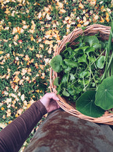 Load image into Gallery viewer, Wairarapa Foraging Workshop - Homegrown Botanica
