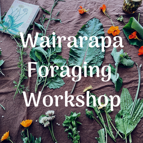 Wairarapa Foraging Workshop Cover