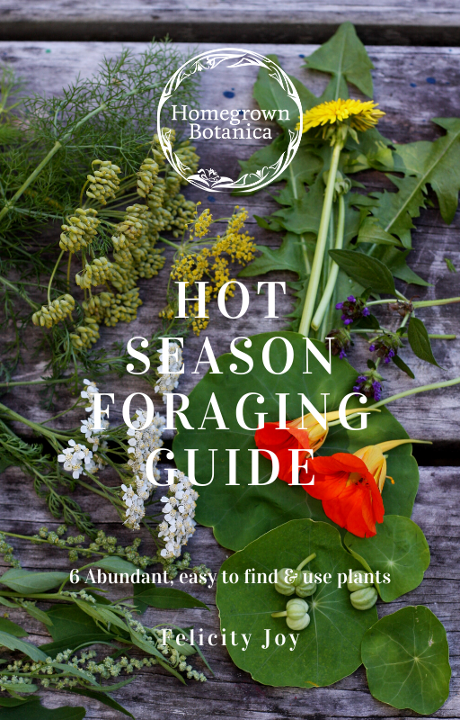 Hot Season Foraging Guide Cover Learn to forage for wild weeds