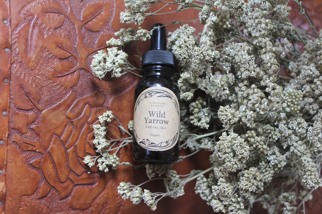 Wild Yarrow Facial Oil ~ Sensitive skin - Homegrown Botanica