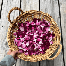 Load image into Gallery viewer, Foraging for Wild Edible Plants ~ Online Video Foraging Course - Homegrown Botanica
