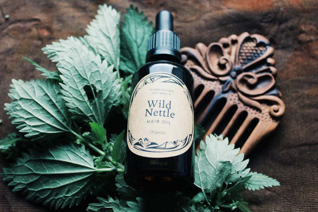 Wild Nettle Hair Oil / styler, to condition dry hair - Homegrown Botanica