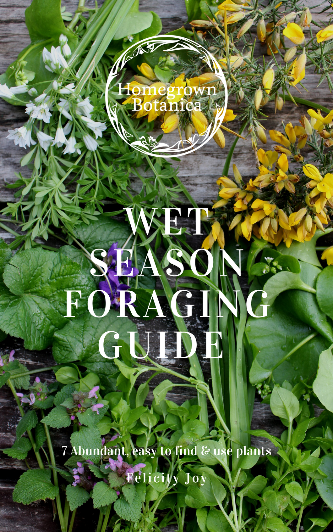 Wet Season Foraging Guide Cover learn to forage for wild weeds